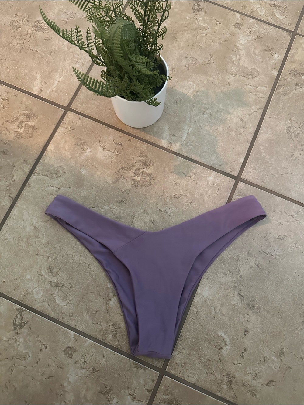 PLUM BIKINI BOTTOMS